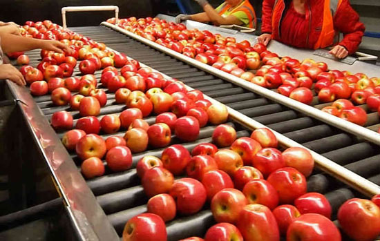 Fruit juice production process managed by Producepak app makes safe high quality fruit juice