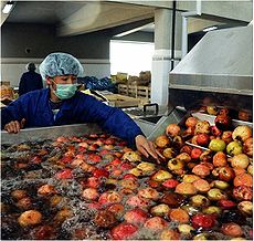 Fruit juice production process