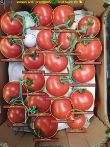 Fresh fruit & vegetable quality control artificial intelligence