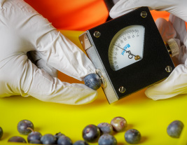 Quality Control Tailored for the Produce Industry