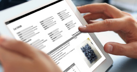 Quality Control Tailored for the Produce Industry