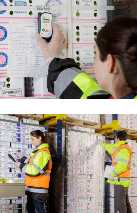 Quality Control Tailored for the Produce Industry