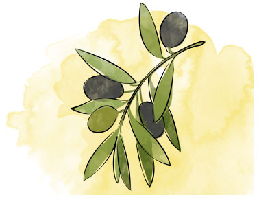 Olive oil manufacturing app