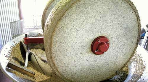 How olive oil is processed