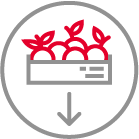 Fresh produce quality control app