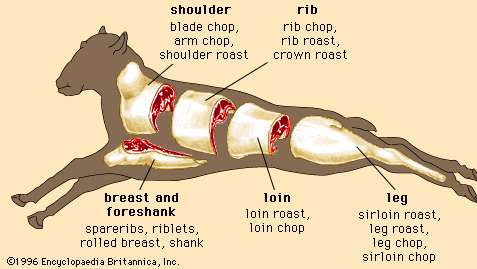 cuts of lamb; meat processing