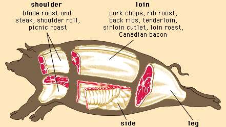 cuts of pork