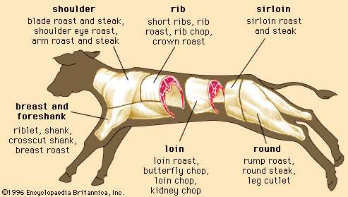 cuts of veal; meat processing