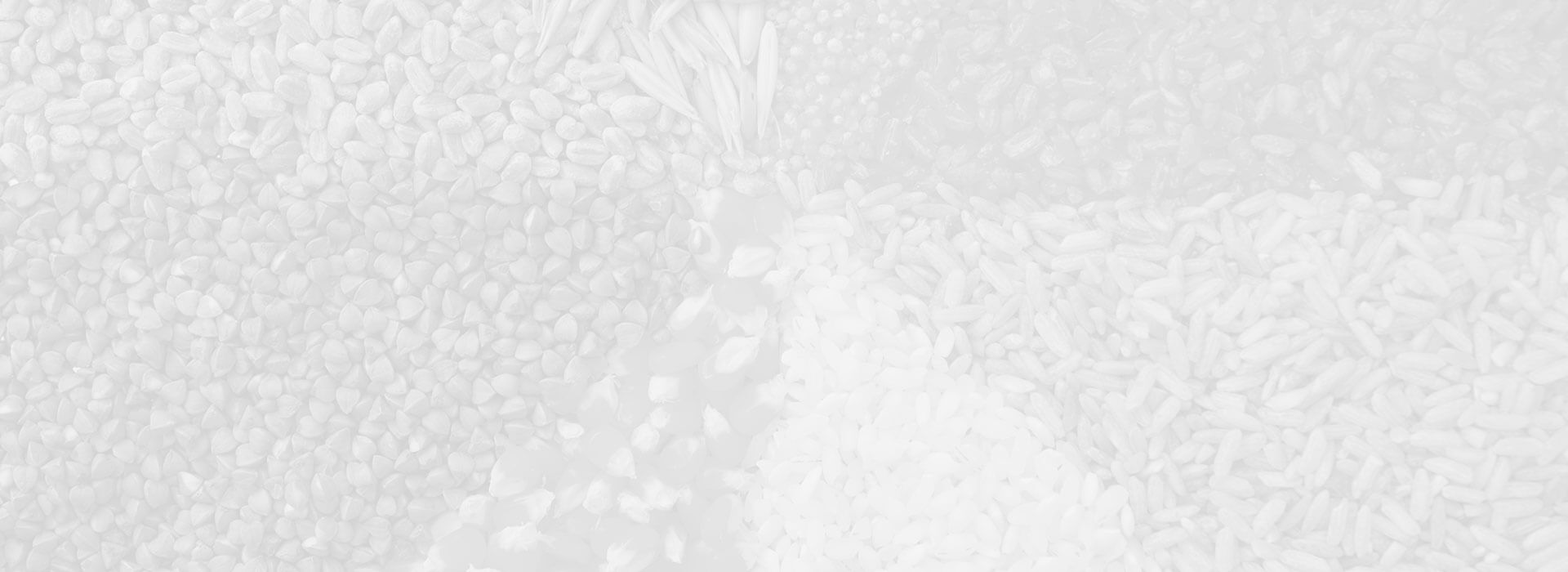 Seed grain processing
