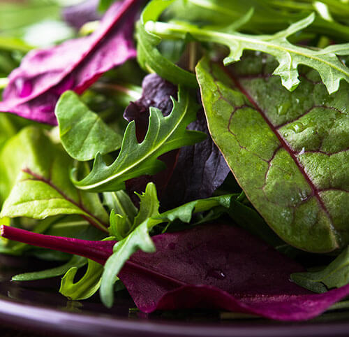 Business management app for salad packer processor wholesaler