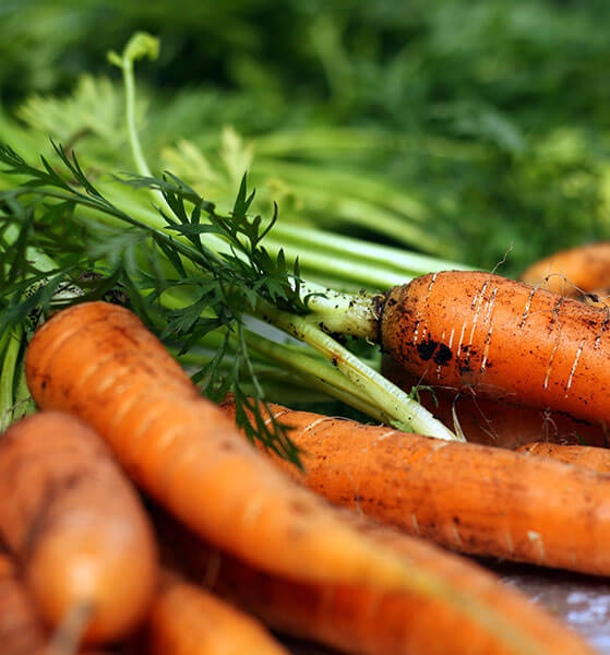 5 Ways to Reduce Fresh Produce Inventory Waste Right Now