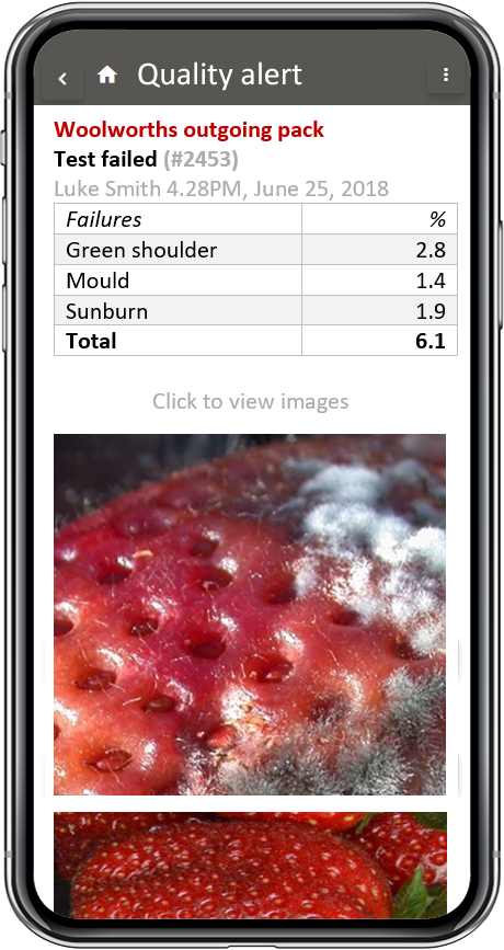 rfid-fresh-produce-inventory-pallet-control