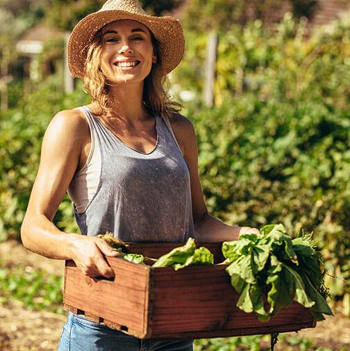 Perishable inventory management software