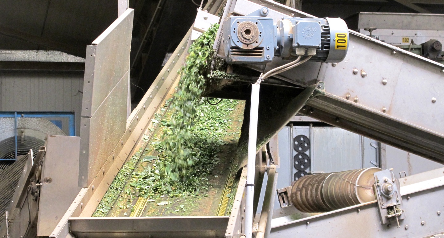 Primary Processing: Drying Medicinal Plants in Germany