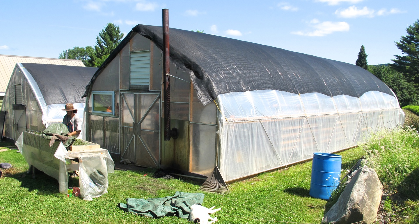 Primary Processing: Drying Herbs at Zackwoods Farm