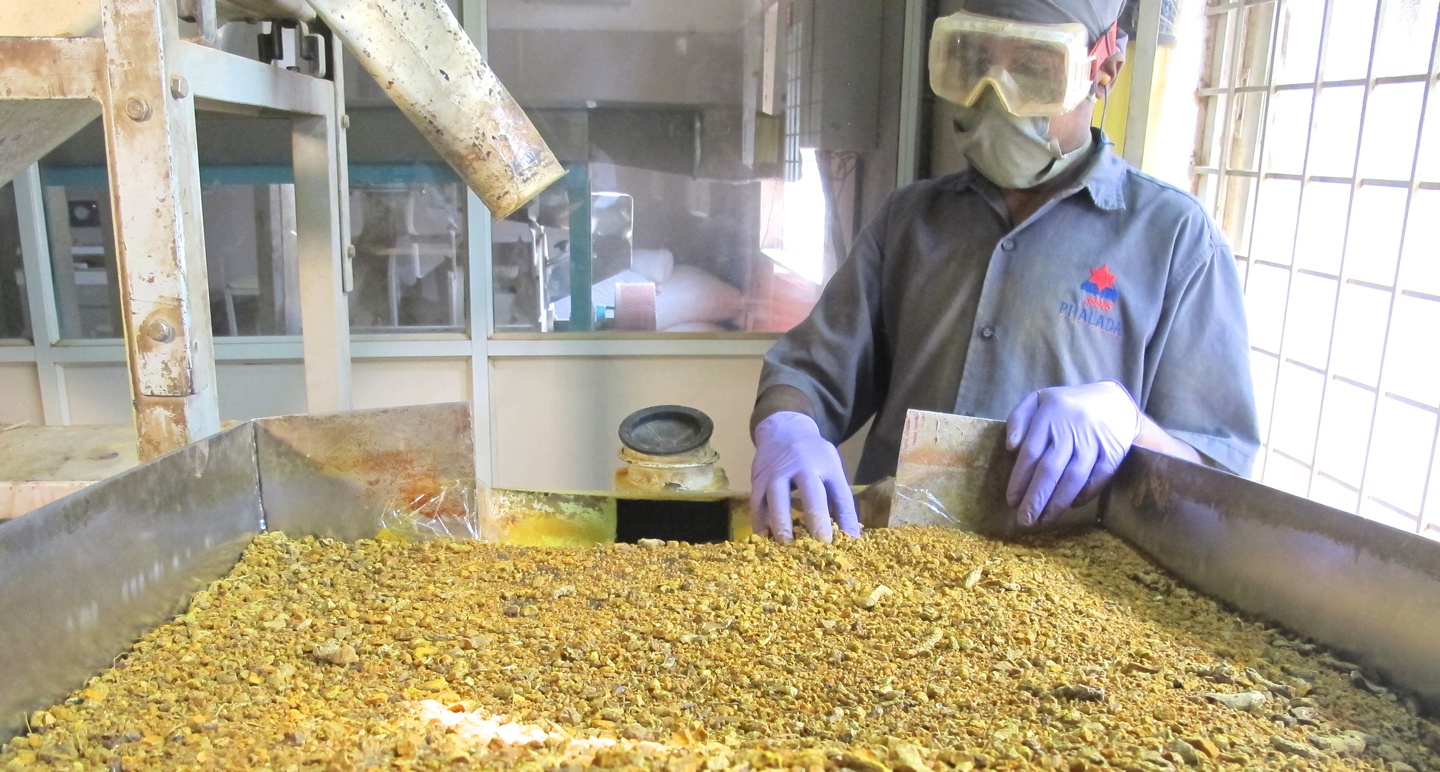 Primary Processing: Sorting Turmeric in India
