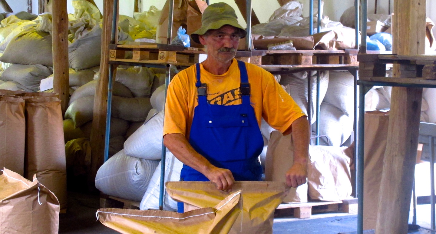 Primary Processing: Bagging Herbs in Hungary