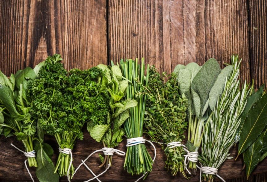 Herb processing
