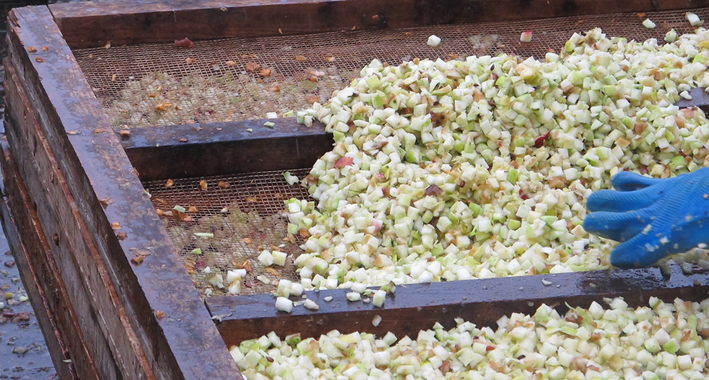 Primary Processing: washing and drying