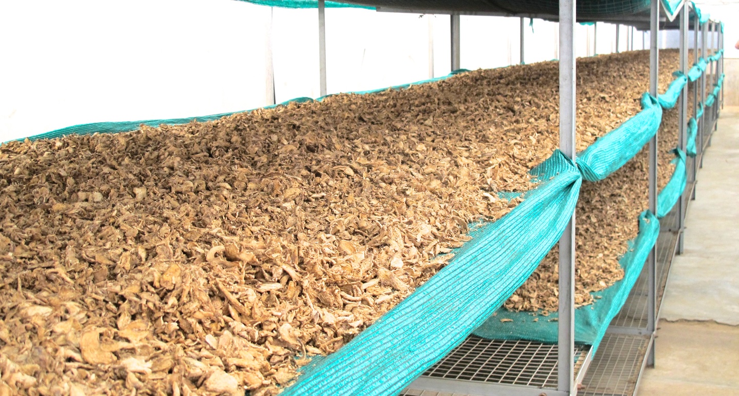 Sustainable Herbs Project Production of Medicinal Plants