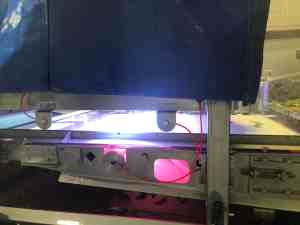 Spring Mix Packing - Optical Sorter