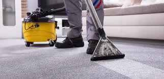 Carpet Cleaning Business Plan: The Ultamate Guide for Pros
