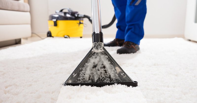 Carpet Cleaning Business Plan: The Ultamate Guide for Pros