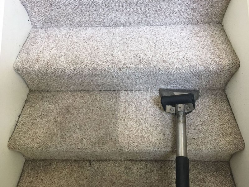 Carpet Cleaning Business Income: A Guide to Solid Incomes