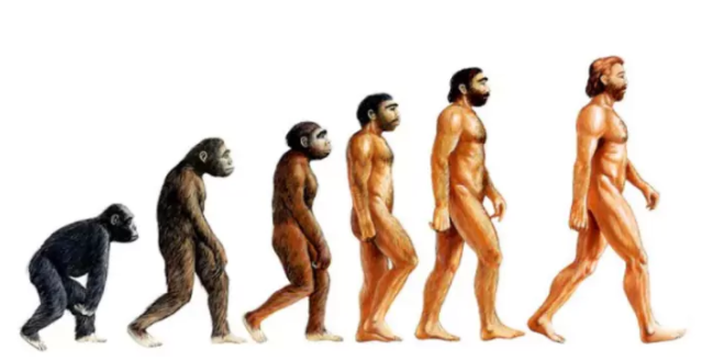 Evolution