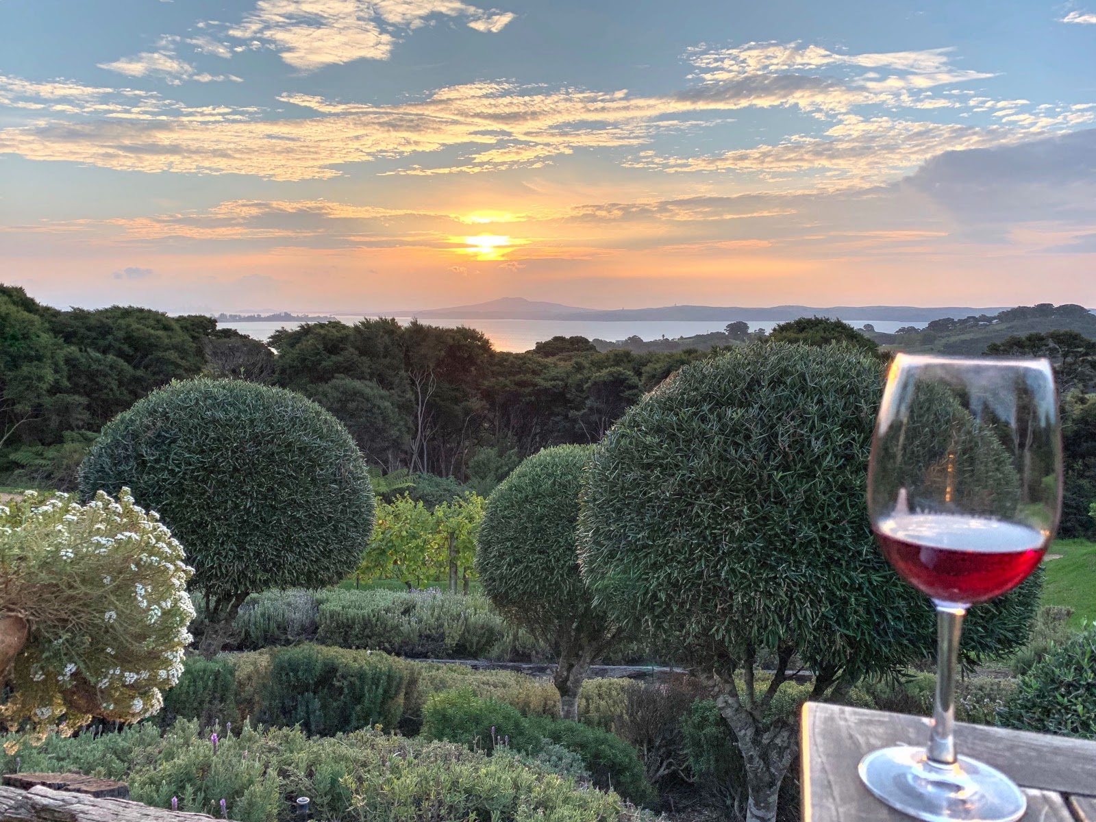 Trips to Auror's New Zealand office, particularly Waiheke (AKA wine island) are an added bonus!