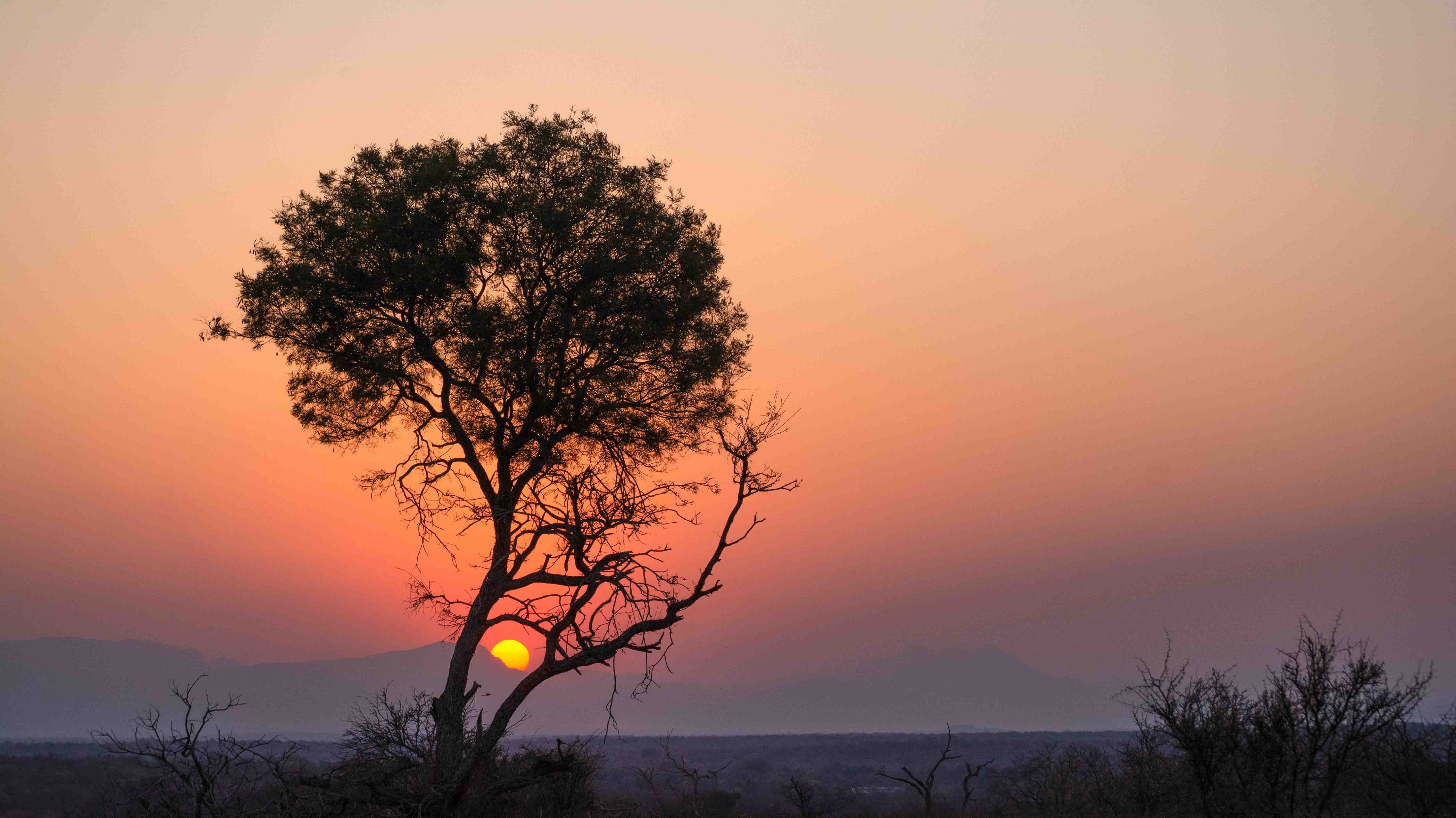 Isambane Blogs - When is best to travel