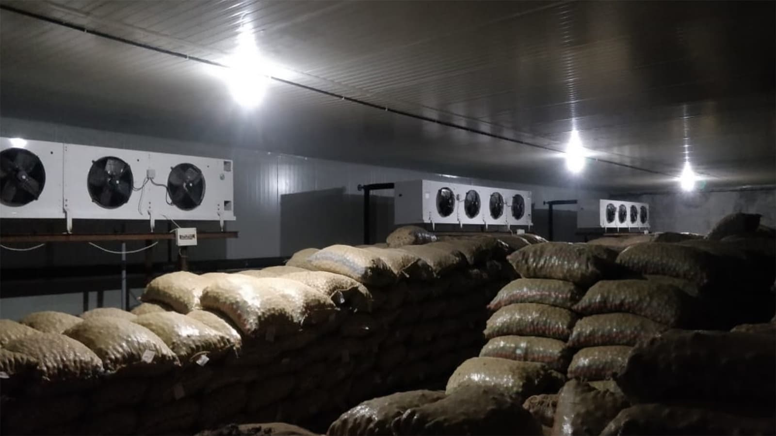 Potato cold storage unit