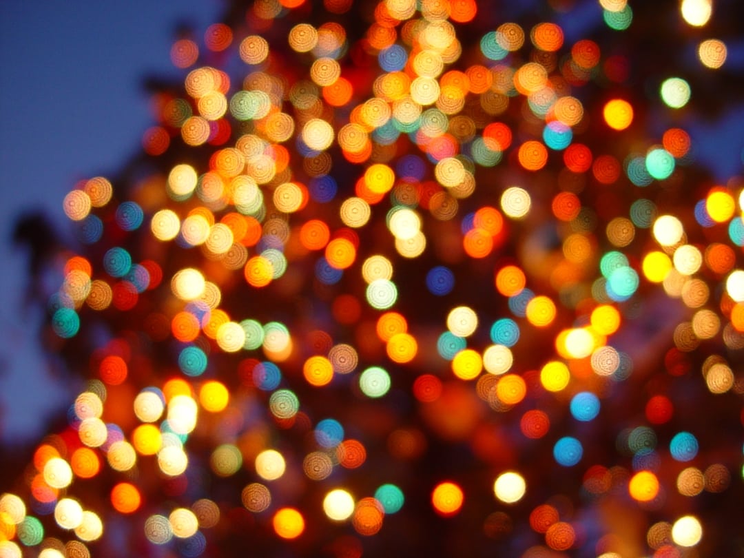 winter-break-2023-dec-22-2023