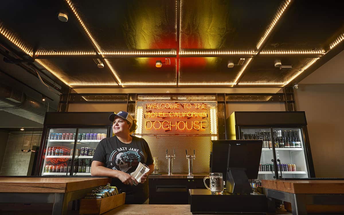 DOGHOUSE BEER HOTEL Check In Desk bar