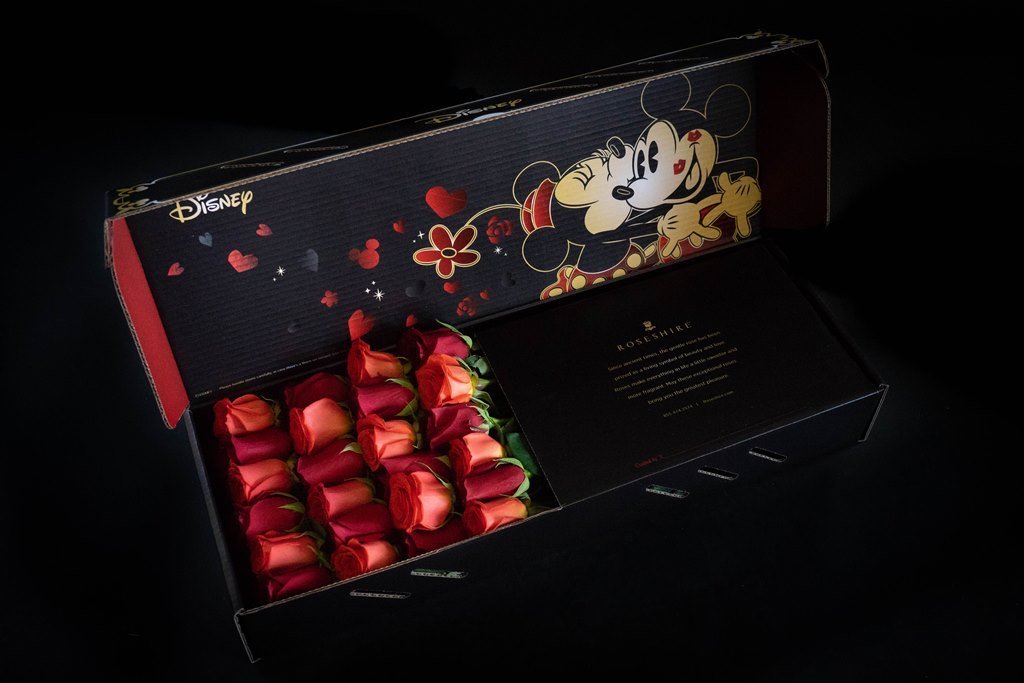 mickey-minnie-mouse-roses-in-box-checkmate-2