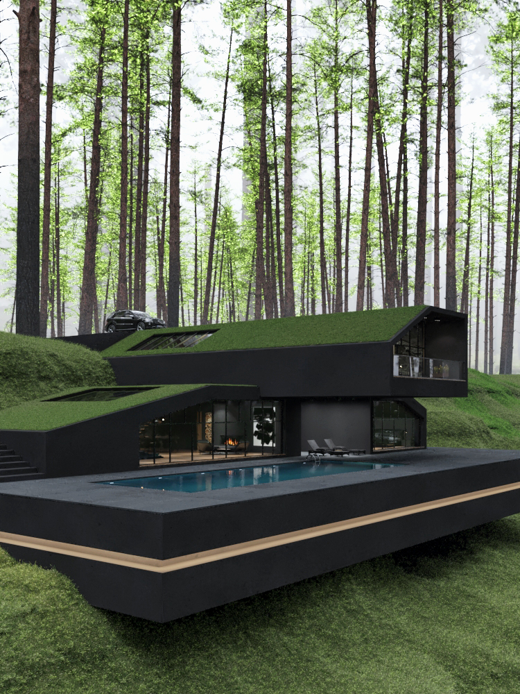 Matte Black Villa in Harriman State Park, New York
