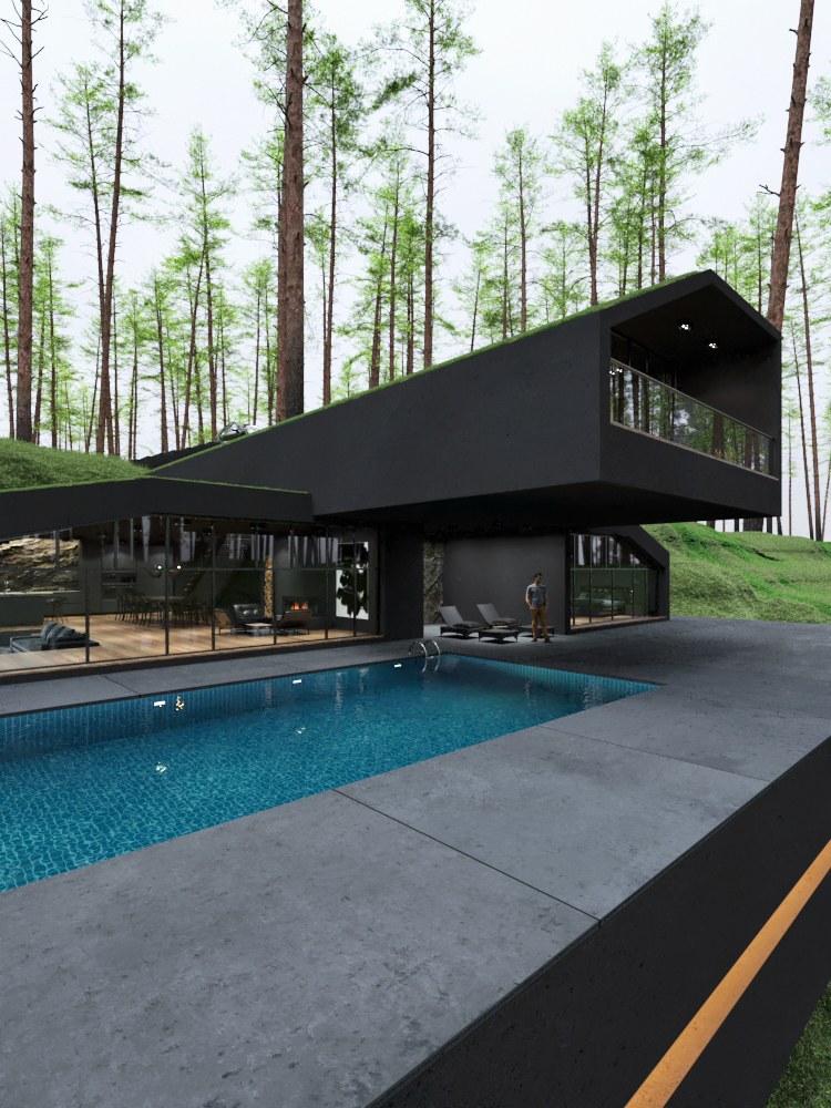 Matte Black Villa in Harriman State Park, New York