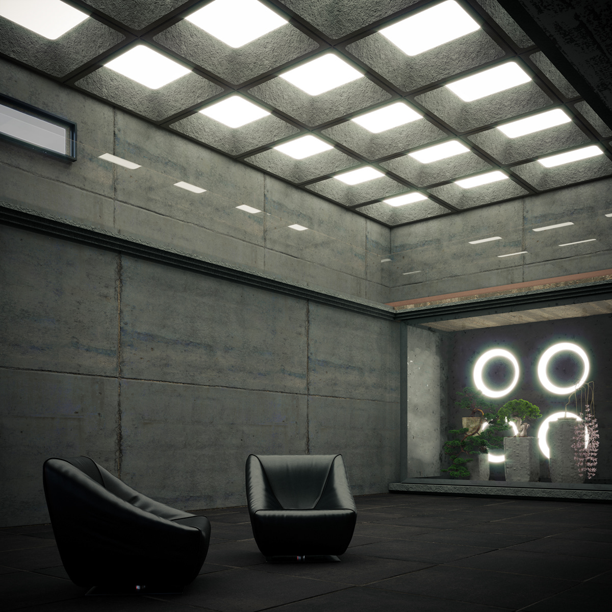 Director House