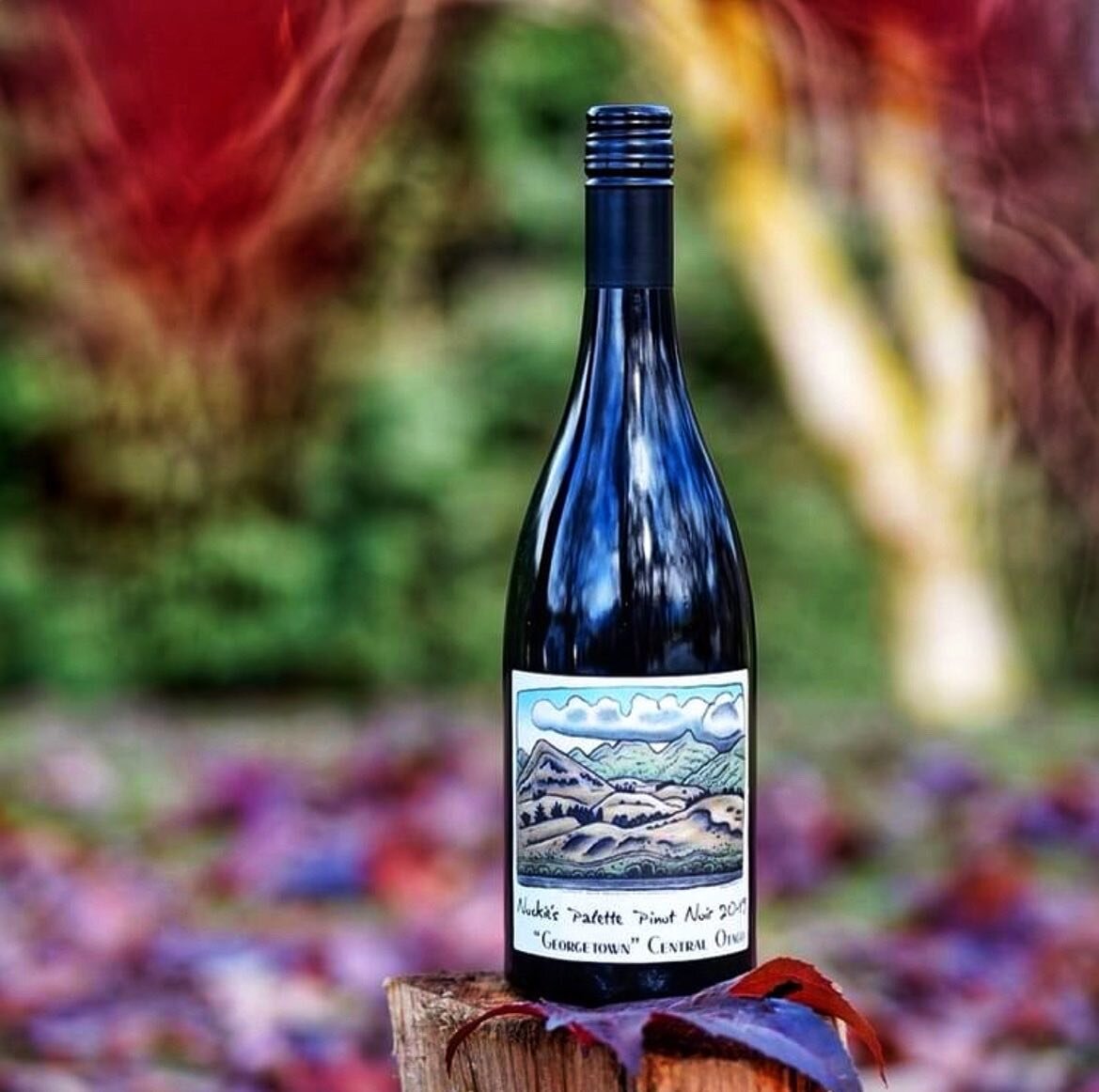 Nockie's Palette Wine Tasting Dinner Jervois Rd Wine Bar + Kitchen