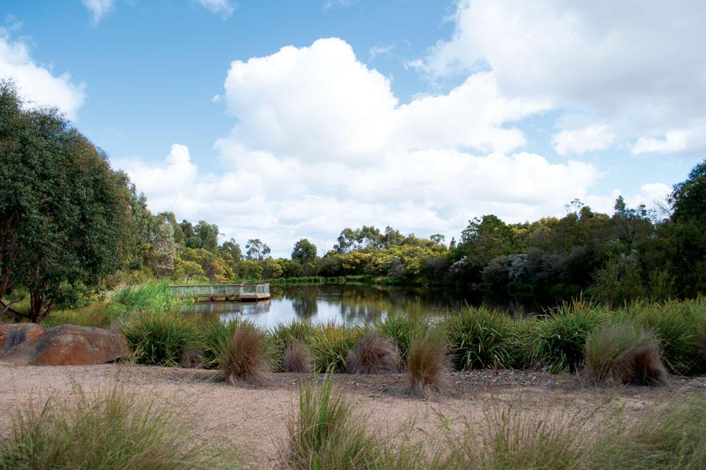 Case Studies Integra