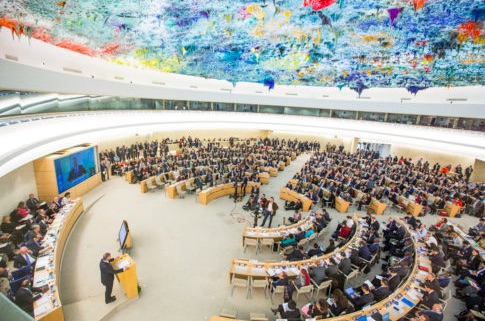 United nations committee