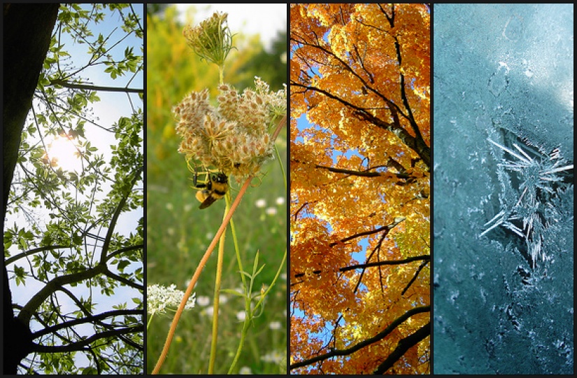 saisons en anglais