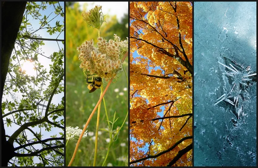 saisons en anglais