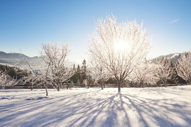 hiver en anglais