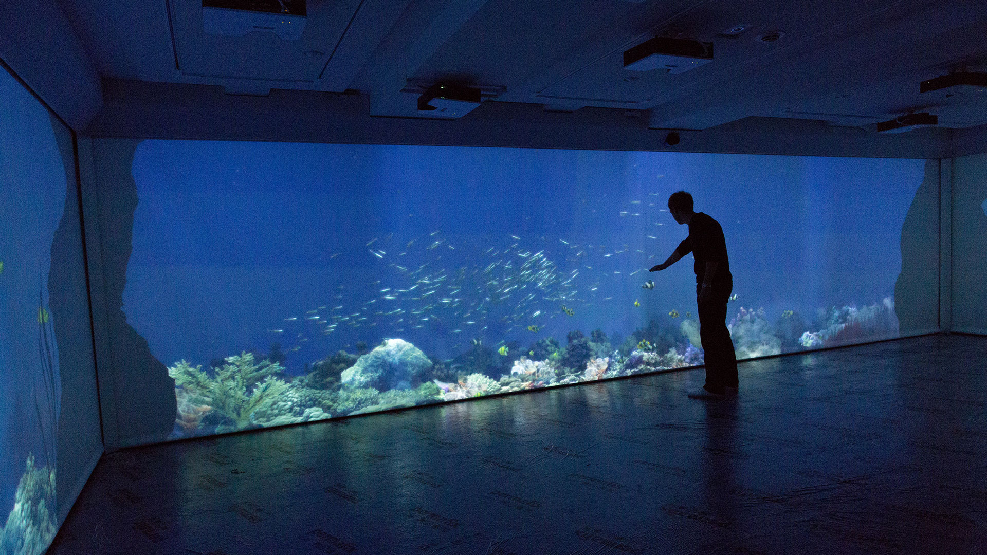 Deep Blue Interactive Aquarium (Immersive)