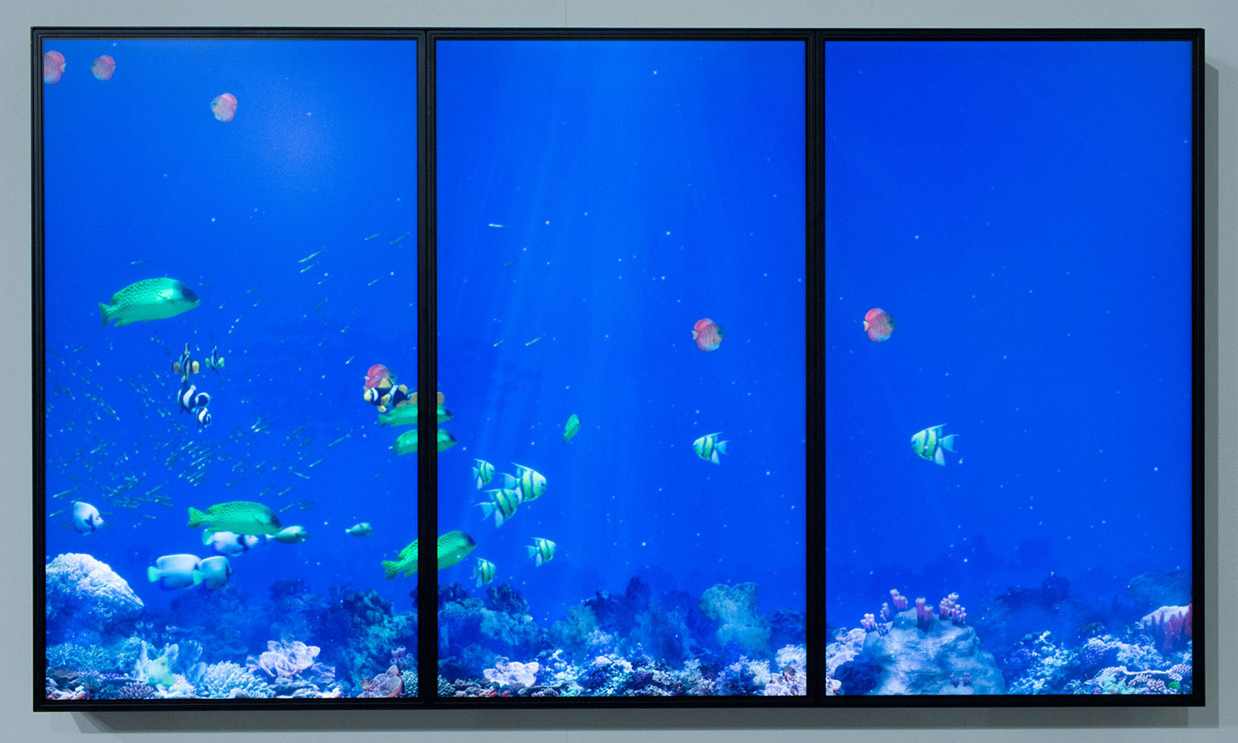 Deep Blue Interactive Aquarium