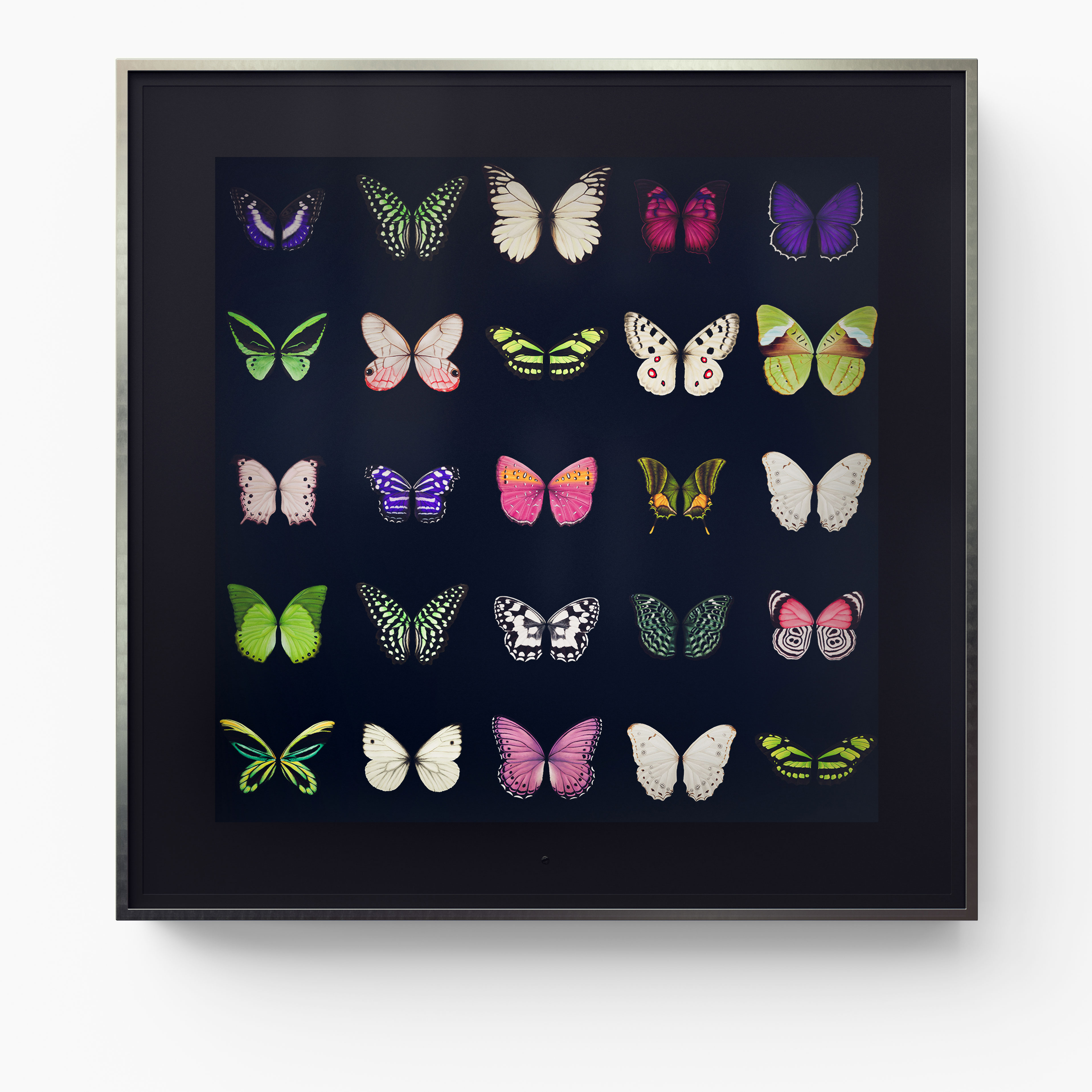 Metamorphosis: Four Seasons