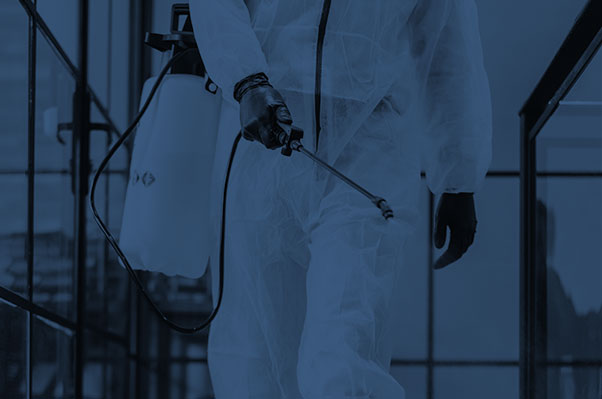 Office Disinfectant cleaning service