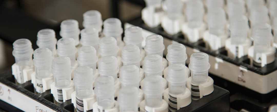 Researchers in protective gears working in a lab.