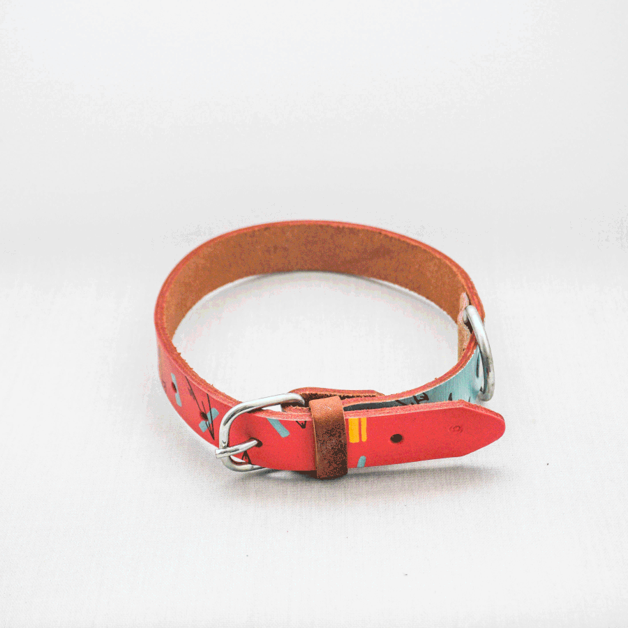 Dog Collars